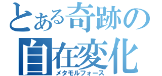 とある奇跡の自在変化（メタモルフォース）