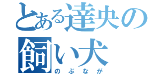 とある達央の飼い犬（のぶなが）