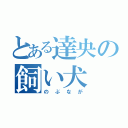 とある達央の飼い犬（のぶなが）