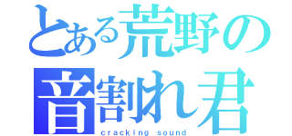 とある荒野の音割れ君（ｃｒａｃｋｉｎｇ ｓｏｕｎｄ）