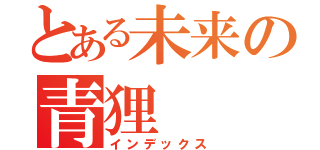 とある未来の青狸　　（インデックス）