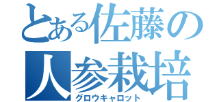 とある佐藤の人参栽培（グロウキャロット）