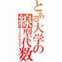 とある大学の線型代数（リニアアルジブラ）