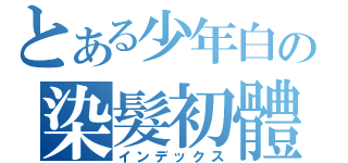 とある少年白の染髮初體驗（インデックス）