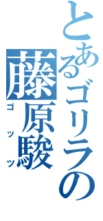 とあるゴリラの藤原駿（ゴッツ）