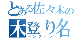 とある佐々木の木登り名人（ドンファン）