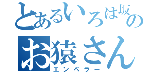 とあるいろは坂のお猿さん（エンペラー）