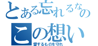 とある忘れるなのこの想い（愛するものを守れ）