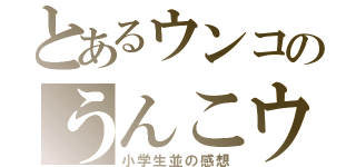 とあるウンコのうんこウンコ（小学生並の感想）