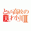 とある高校の天才小川Ⅱ（カマ）