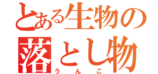 とある生物の落とし物（うんこ）