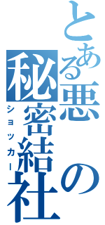 とある悪の秘密結社（ショッカー）