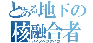 とある地下の核融合者（ハイスペックバカ）