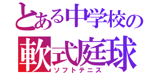 とある中学校の軟式庭球（ソフトテニス）