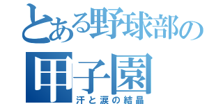 とある野球部の甲子園（汗と涙の結晶）