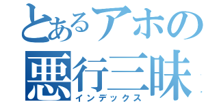 とあるアホの悪行三昧（インデックス）