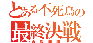 とある不死鳥の最終決戦（蒼炎開放）