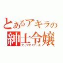 とあるアキラの紳士令嬢（ツーデザイアーズ）