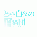 とある白夜の白猫団（♯コンパス）