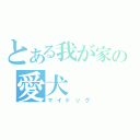 とある我が家の愛犬（マイドッグ）