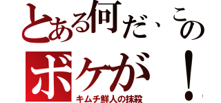 とある何だ、このボケが！（キムチ鮮人の抹殺）