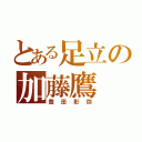 とある足立の加藤鷹（豊田彰弥）