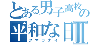 とある男子高校生の平和な日常Ⅱ（ツマラナイ）