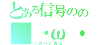 とある信号のの（・ω・｀＊●）（アカパンカビ）