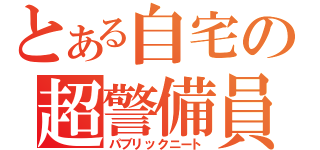 とある自宅の超警備員（パブリックニート）