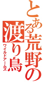 とある荒野の渡り鳥（ワイルドアームズ）