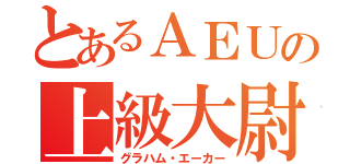 とあるＡＥＵの上級大尉（グラハム・エーカー）