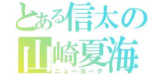 とある信太の山崎夏海（ニューヨーク）