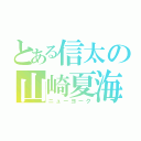 とある信太の山崎夏海（ニューヨーク）