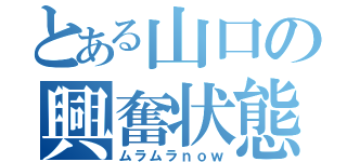 とある山口の興奮状態（ムラムラｎｏｗ）