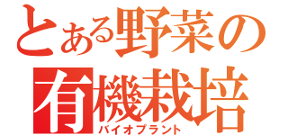 とある野菜の有機栽培（バイオプラント）