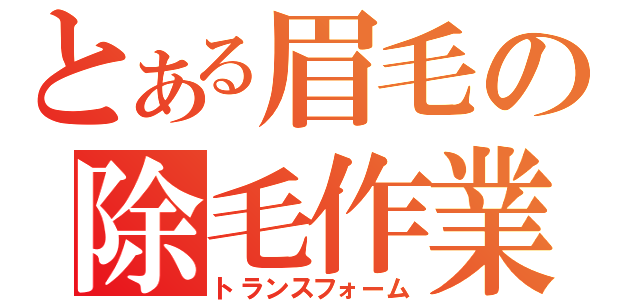 とある眉毛の除毛作業（トランスフォーム）