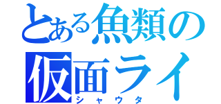 とある魚類の仮面ライダー（シャウタ）