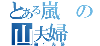 とある嵐の山夫婦（熟年夫婦）