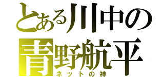 とある川中の青野航平（ネットの神）