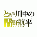 とある川中の青野航平（ネットの神）