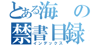 とある海の禁書目録（インデックス）