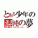 とある少年の混沌の夢（カオスヒーロー）