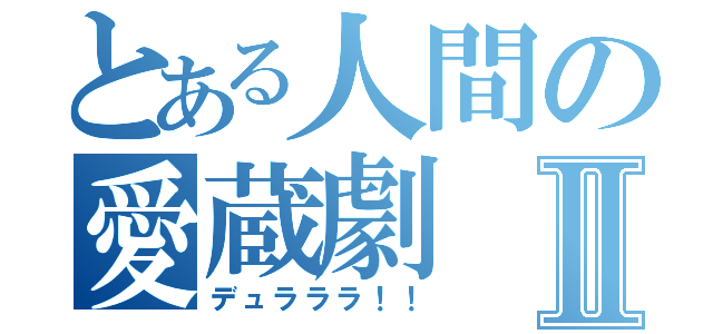 とある人間の愛蔵劇Ⅱ（デュラララ！！）