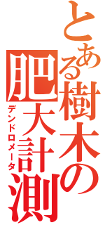 とある樹木の肥大計測（デンドロメータ）