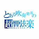 とある吹奏楽部の超響弦楽（コントラバス）