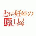 とある妊婦の壊し屋（藤田茜）