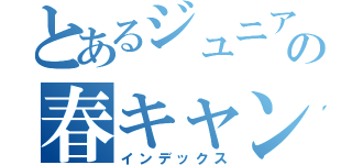 とあるジュニアの春キャン裏プロ（インデックス）