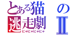 とある猫の逃走劇Ⅱ（にゃにゃにゃにゃ）