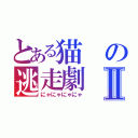 とある猫の逃走劇Ⅱ（にゃにゃにゃにゃ）