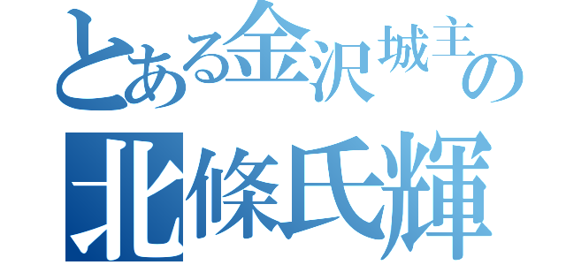 とある金沢城主の北條氏輝（）